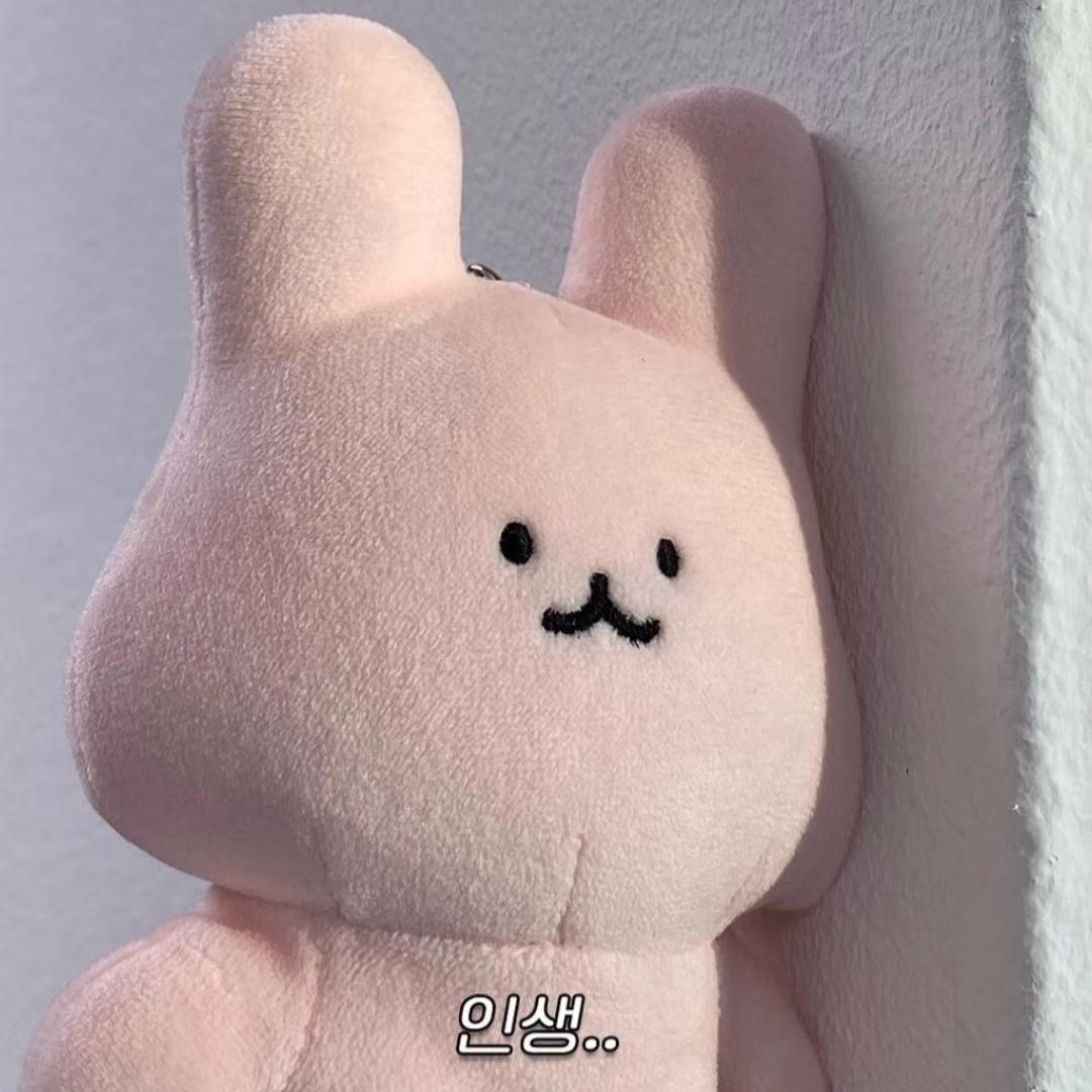 小鱼🩲
