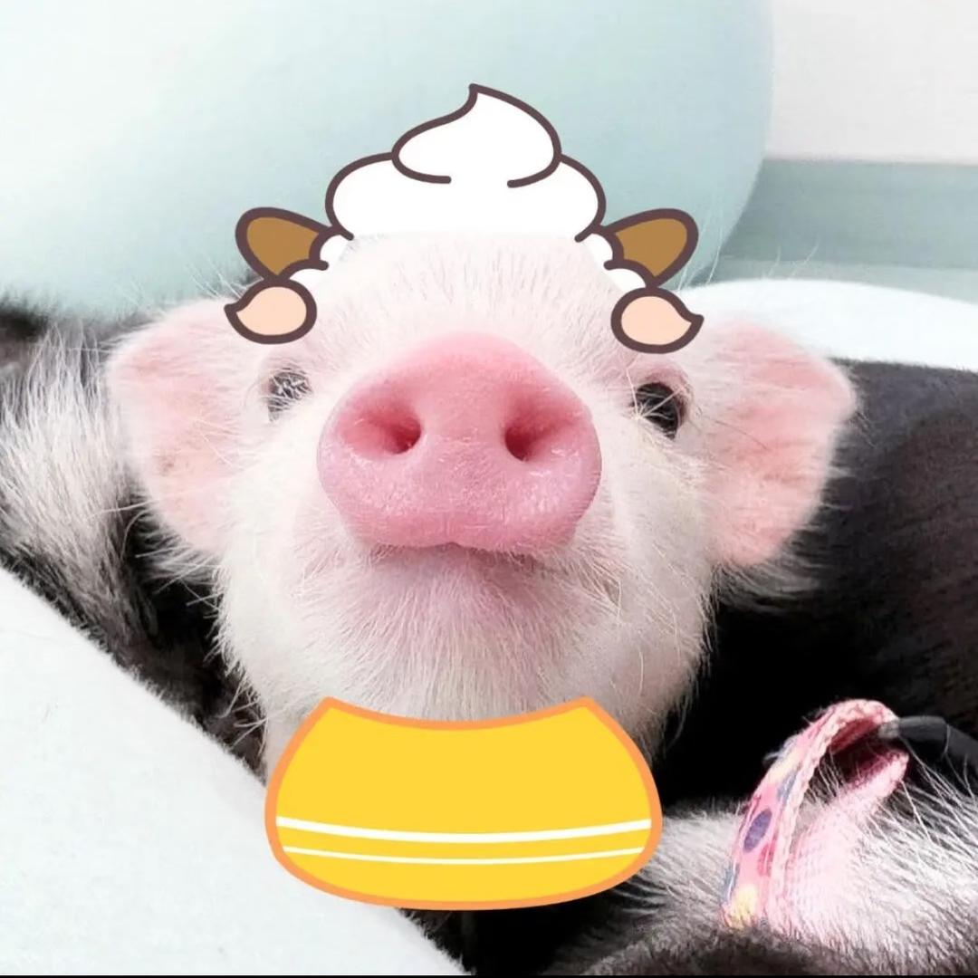 米熊熊