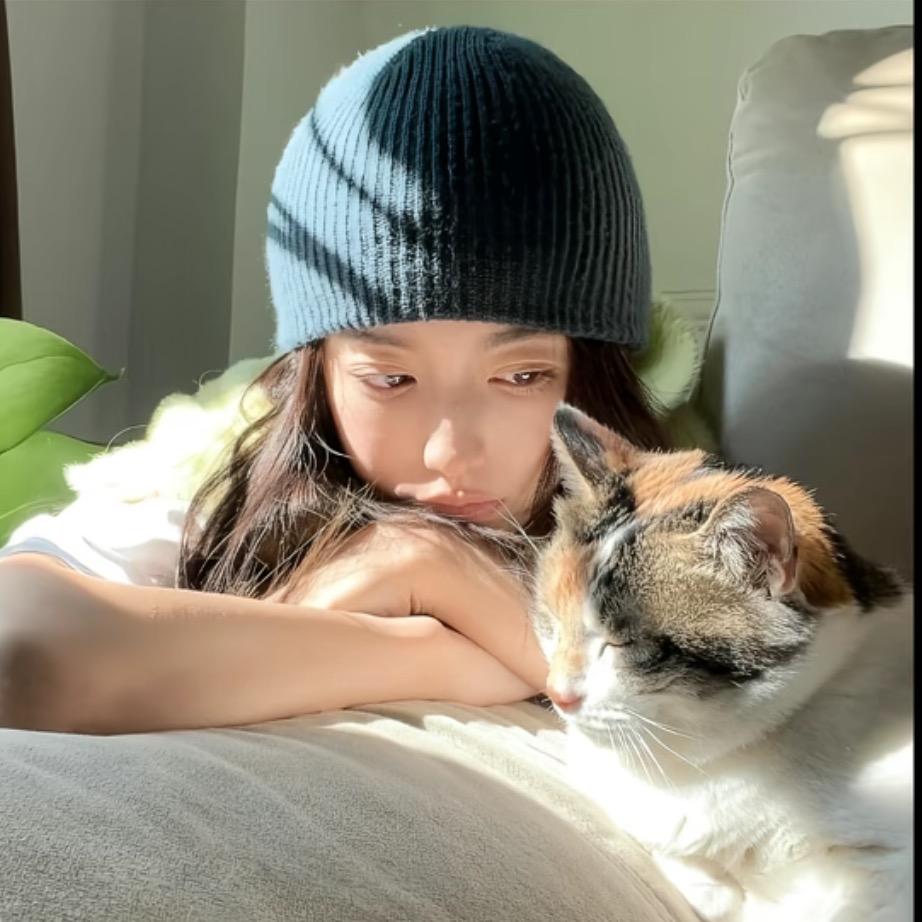 刺猬小姐