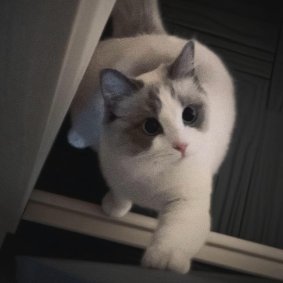 予