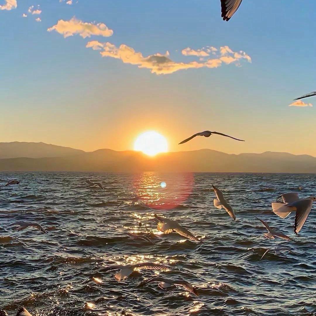 花海