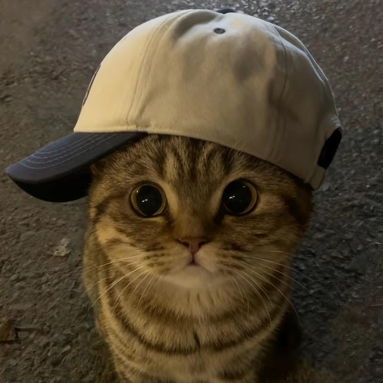村 口 有 架