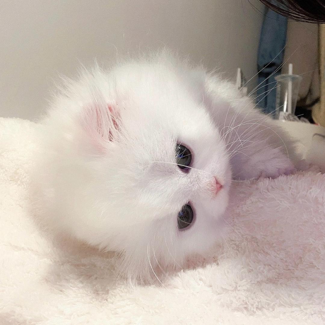 小妮子🧸
