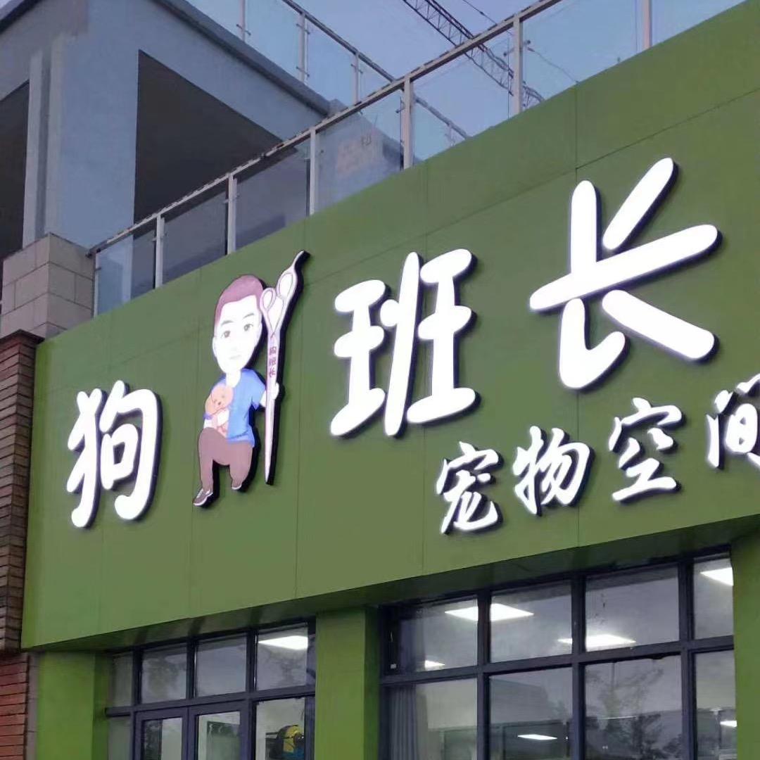 贾汪区狗班长宠物空间