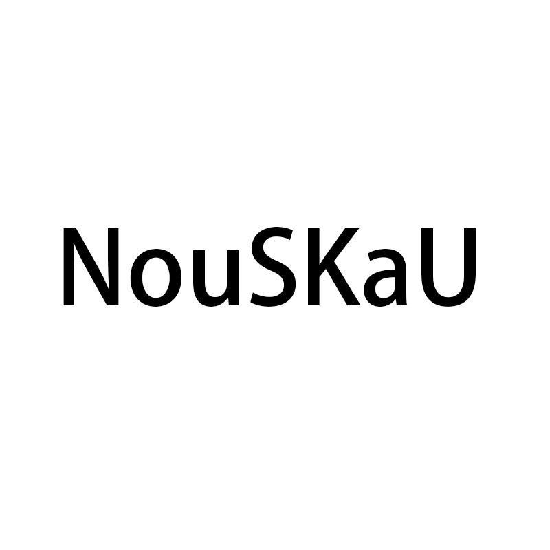 NouSKaU睿立数码专卖店