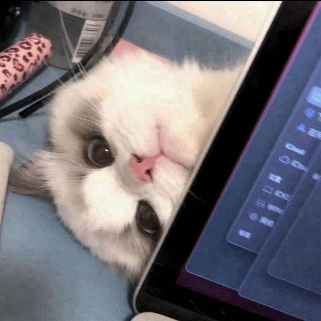 晚点遇见你