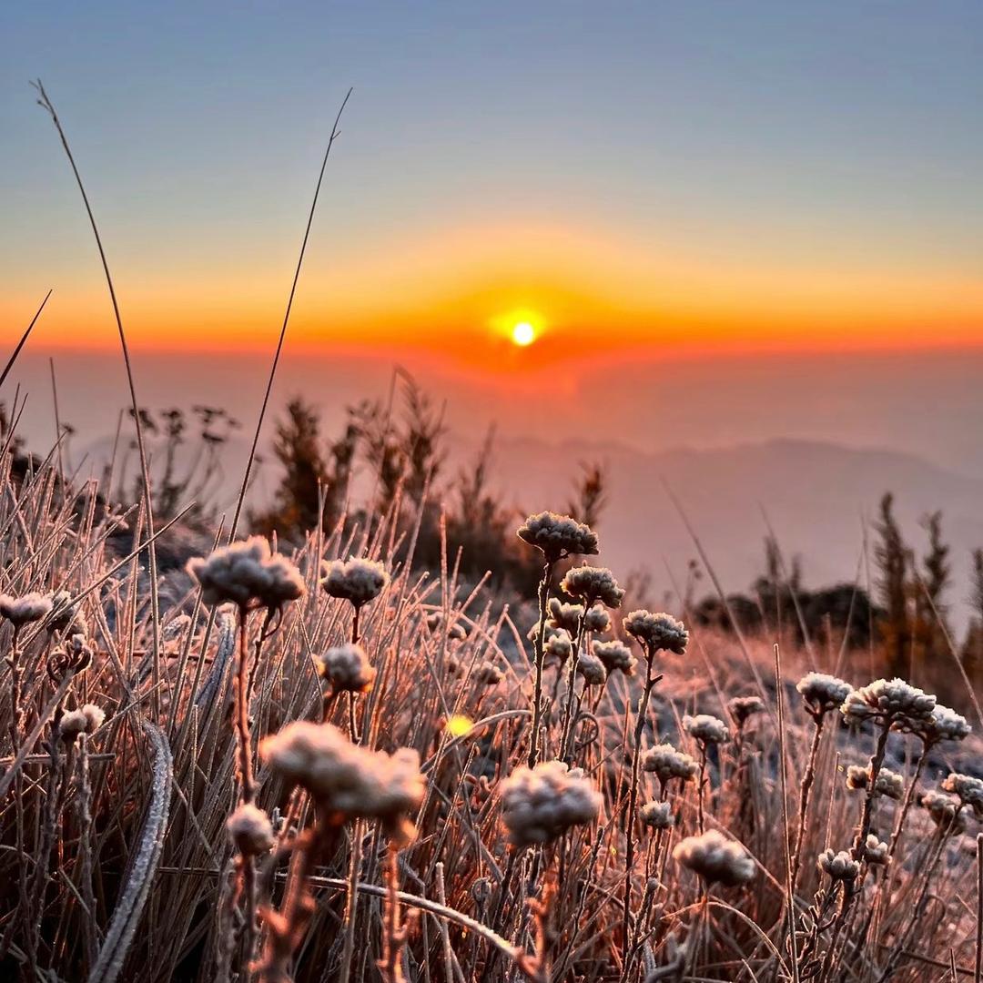 没带卡的摄影师