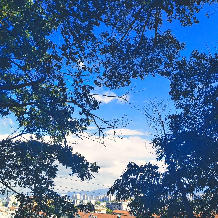 🌈你怎么不说话了