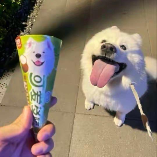 纯情老登慢羊羊