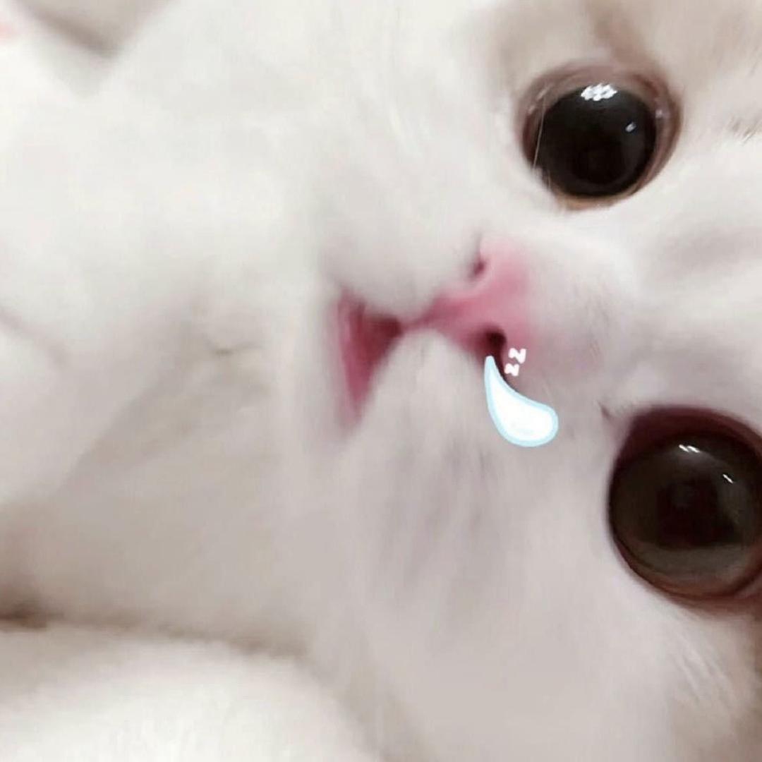 小吉OK