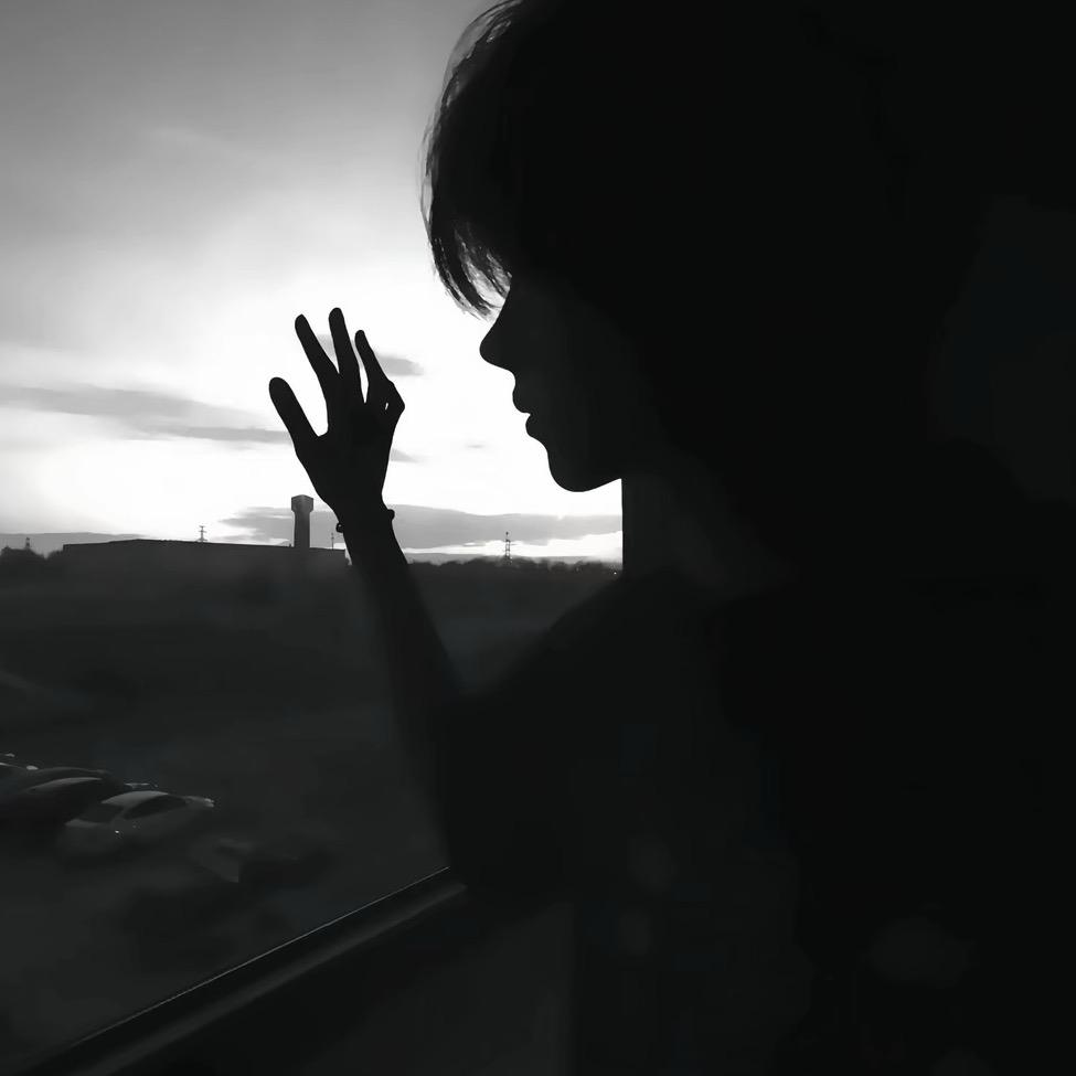 @花雨