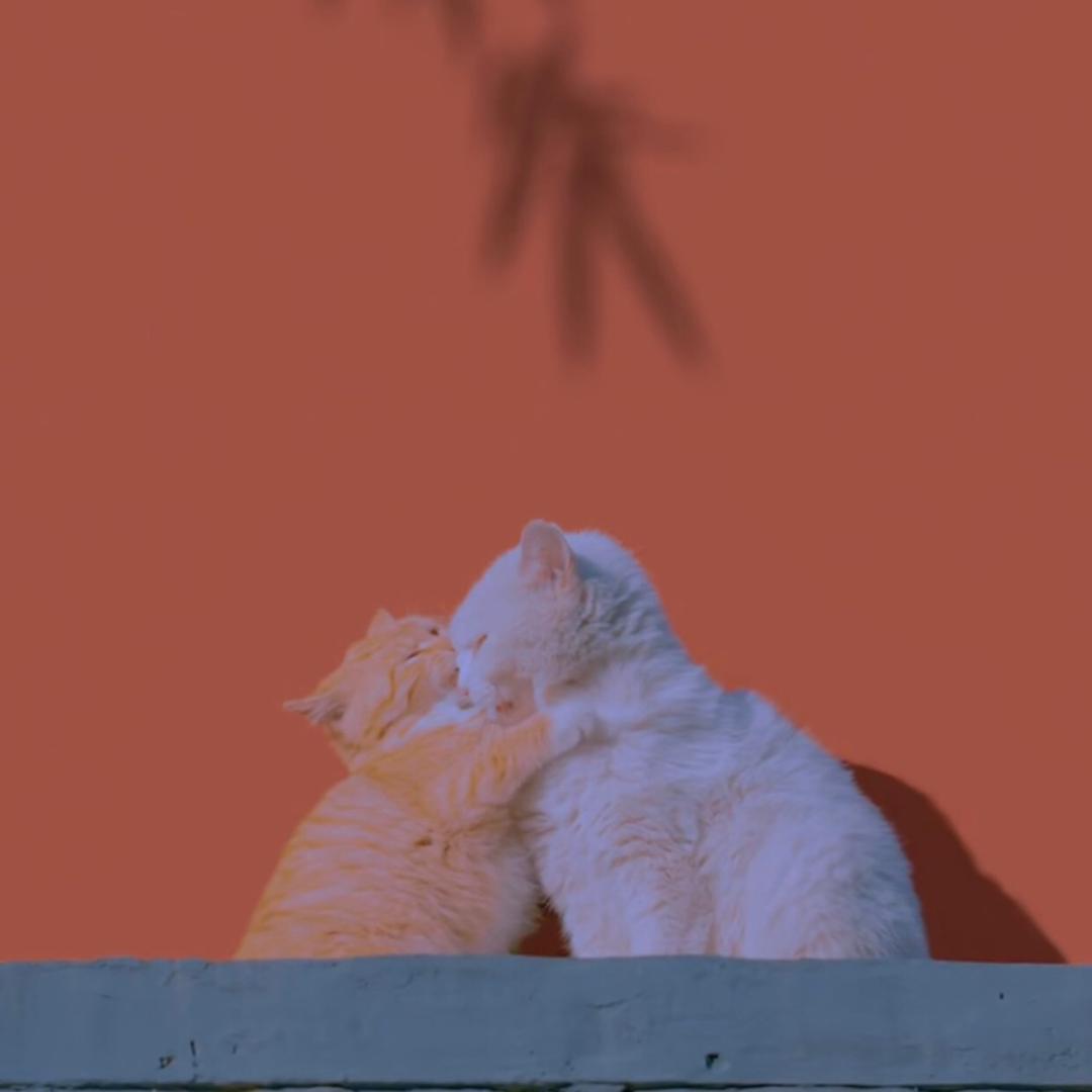 啊哈