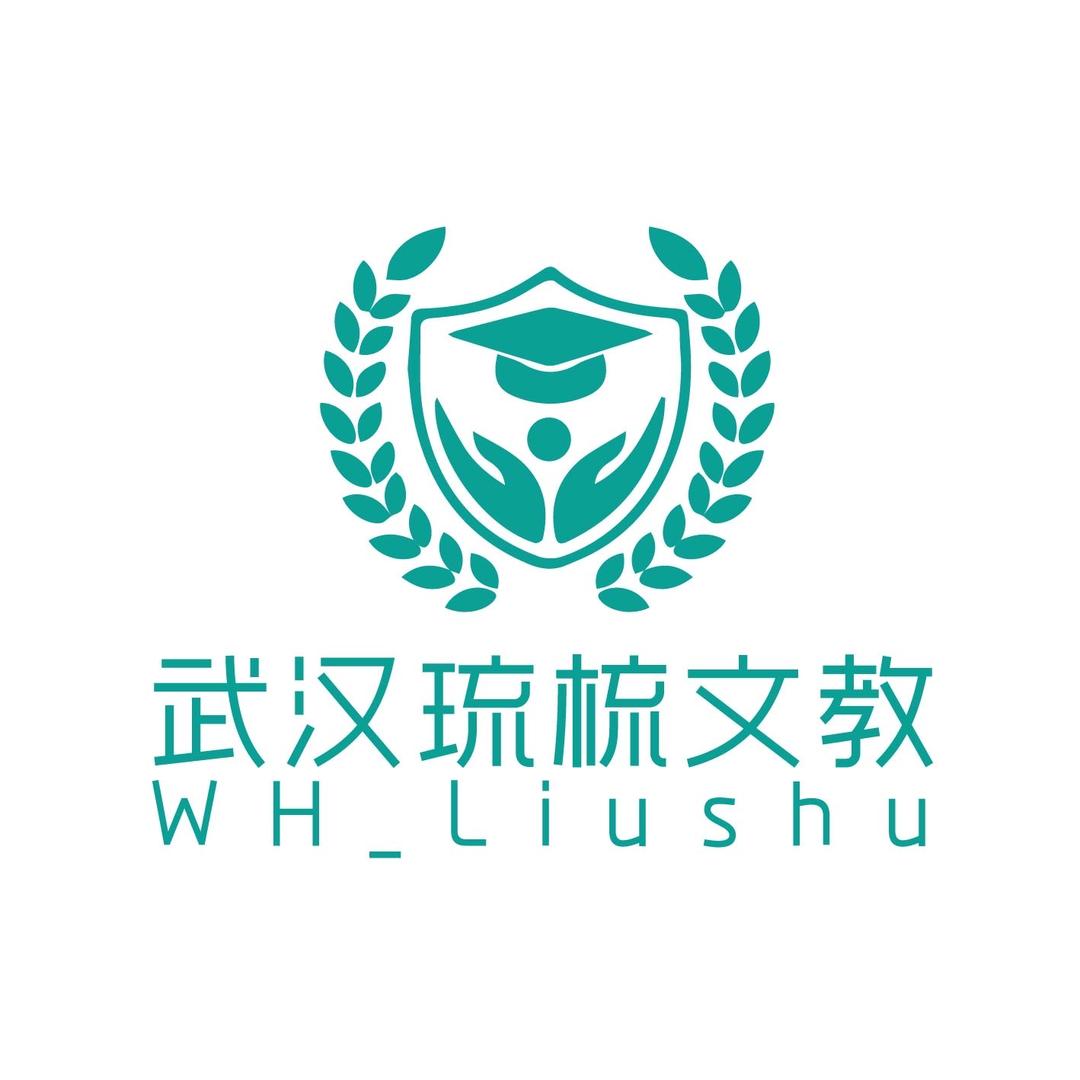 武汉琉梳对外文教