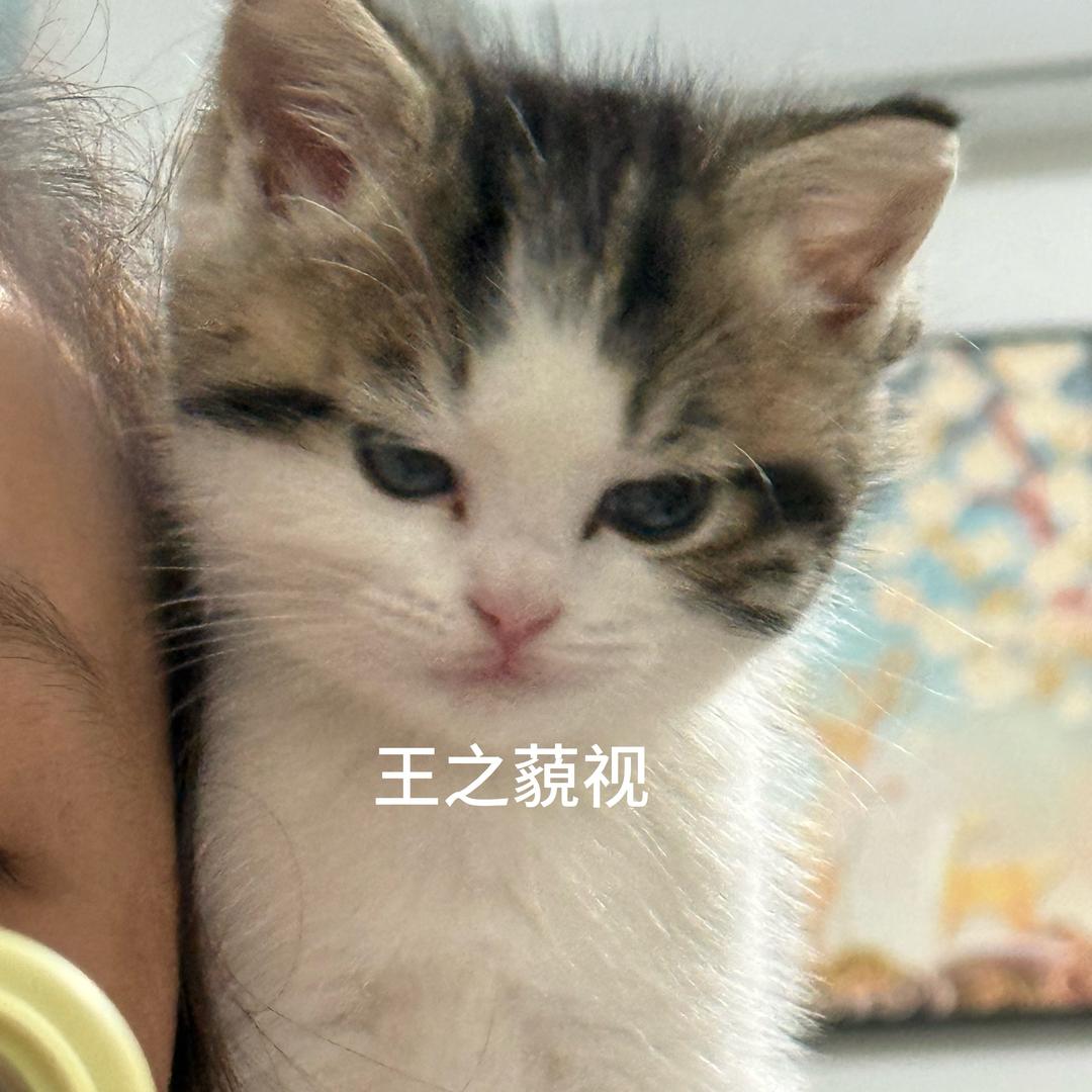 七月