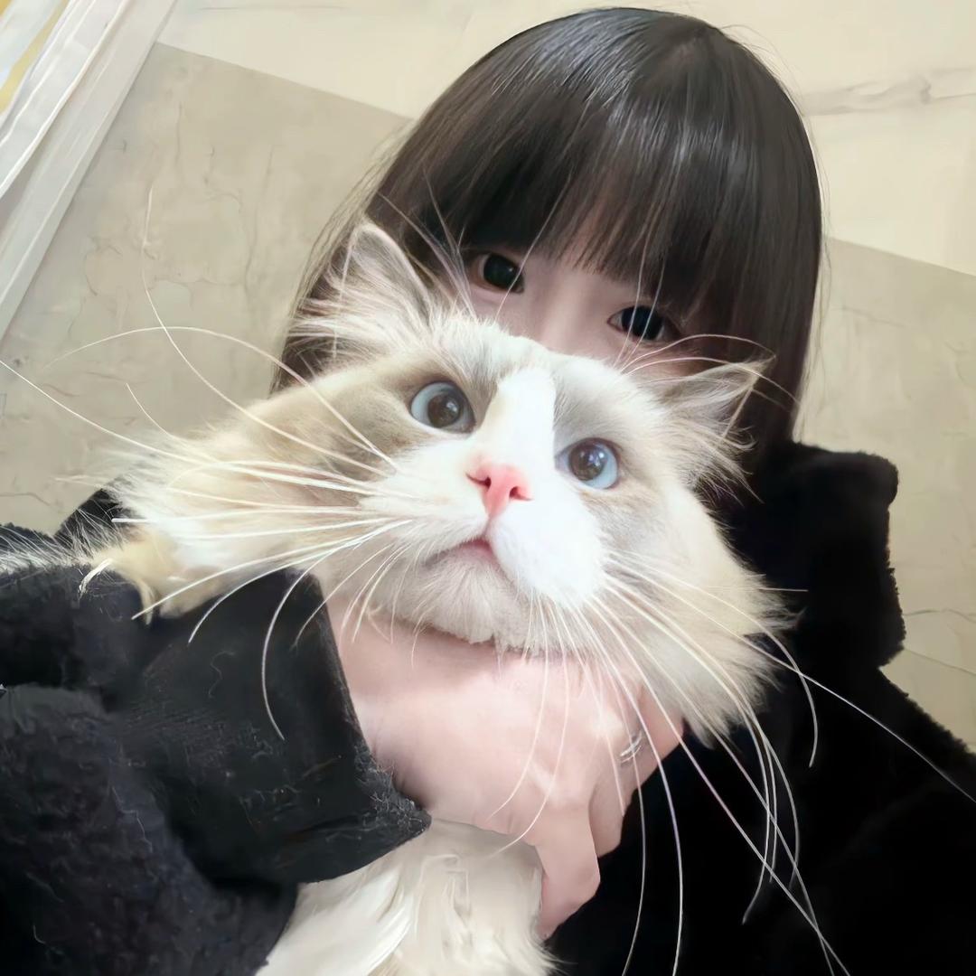 伤心小椰子