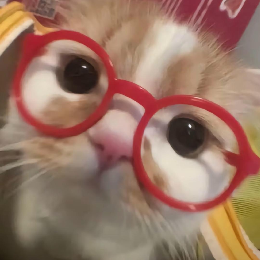 豆小鸭