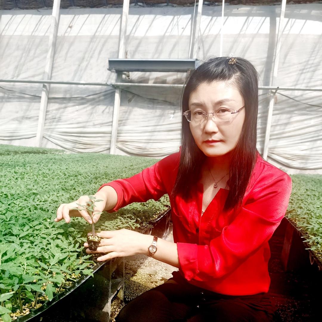 乐妈的小菜园