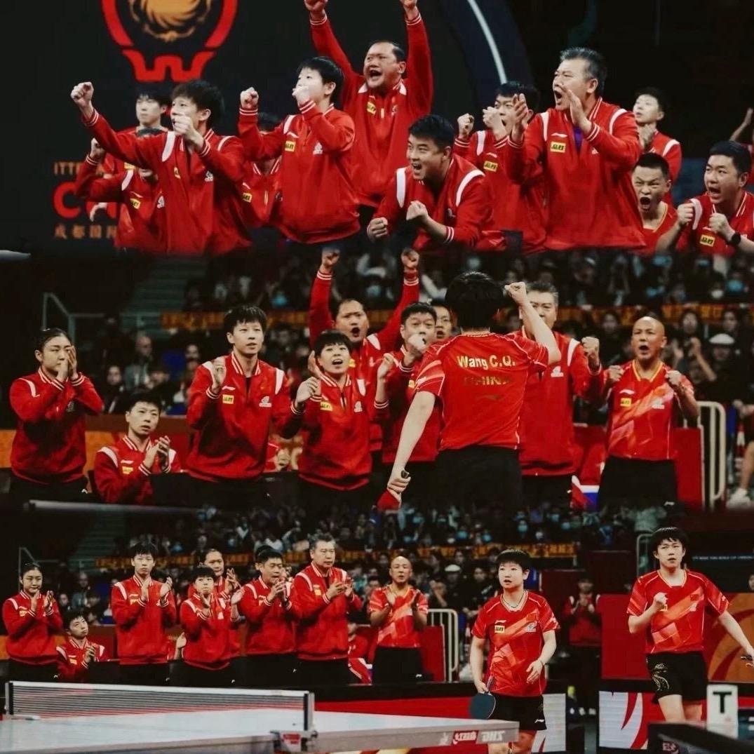 远方（乒搏国球🏓）