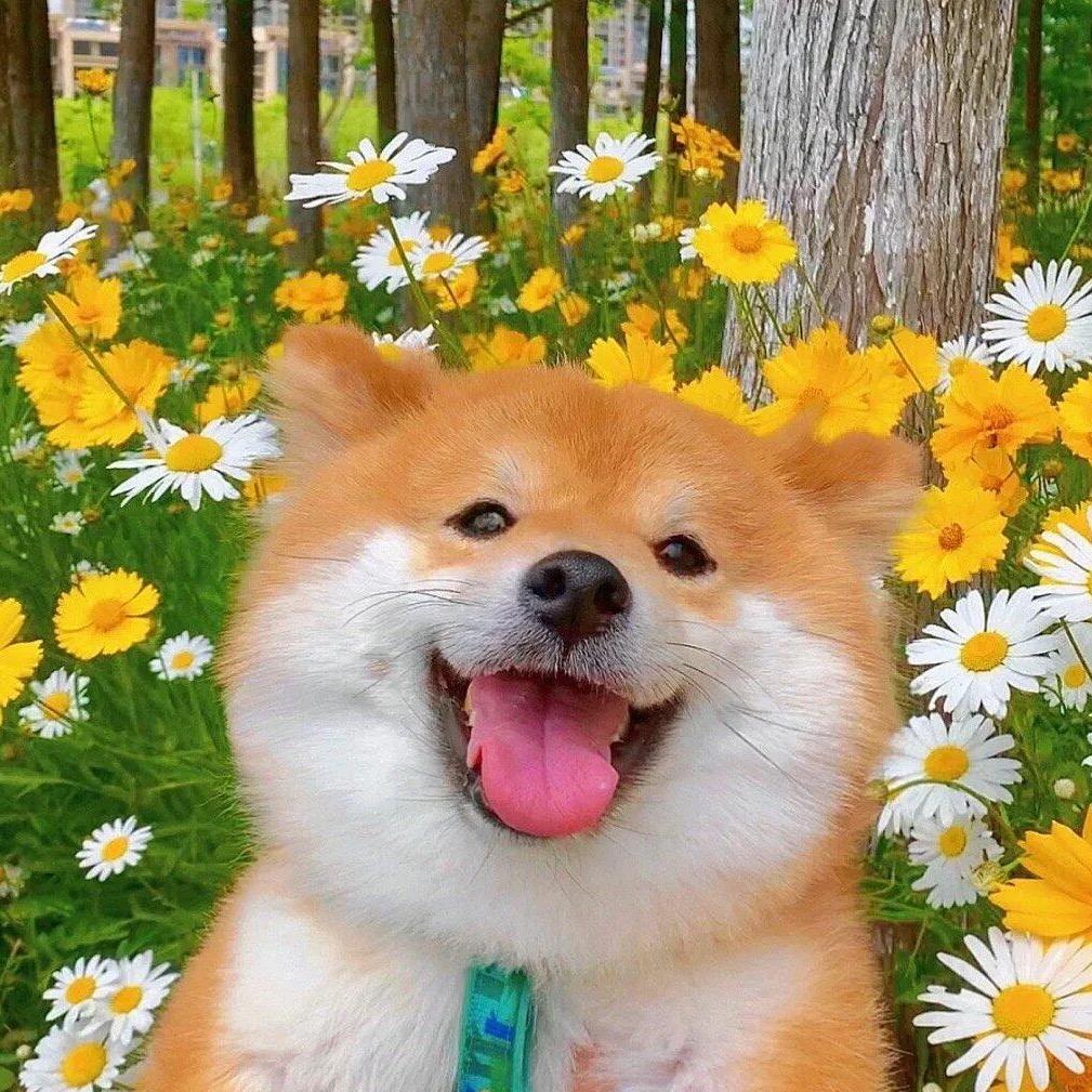 @乐选杂货铺