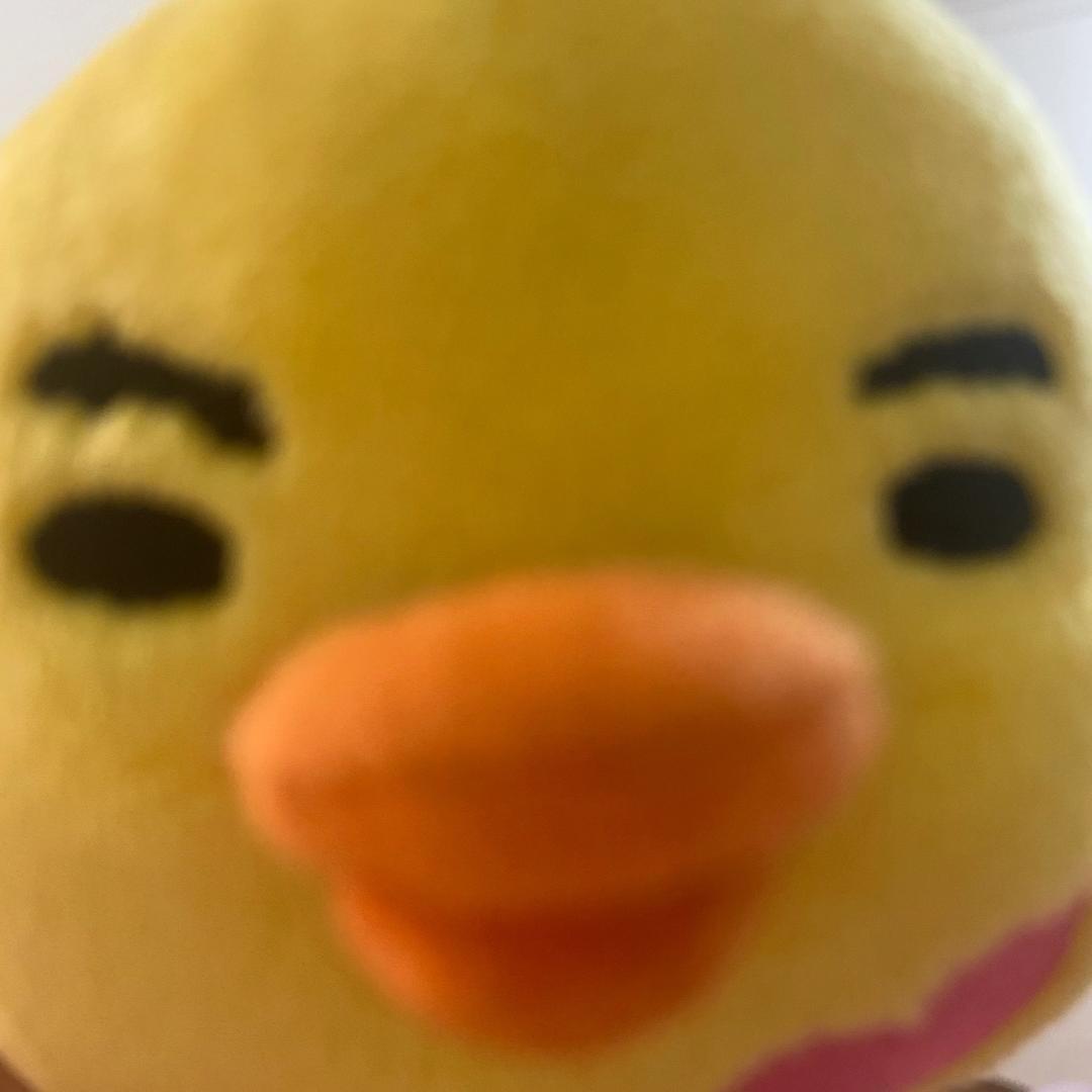 口吐芬芳坨比比🌈💨