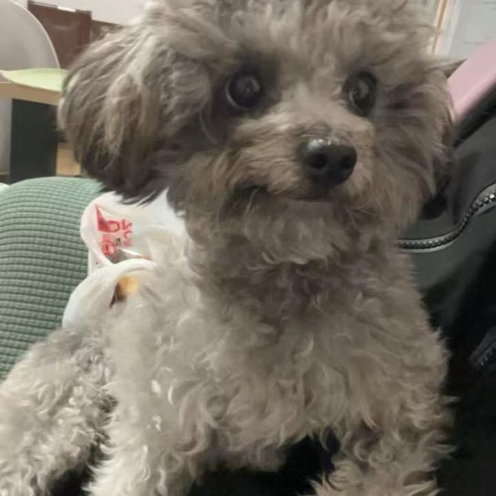 沐歆