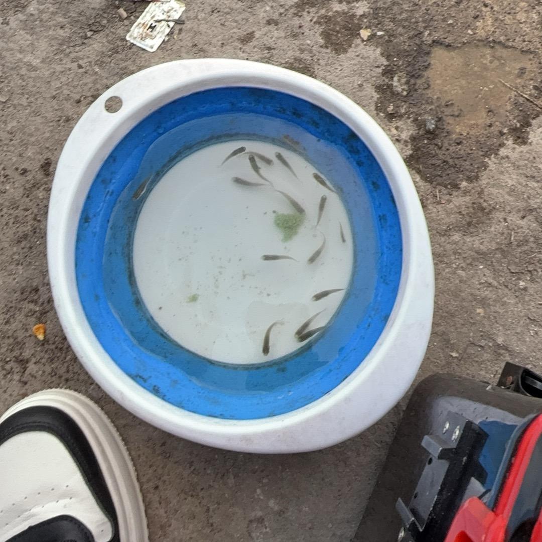 你是一个好女人