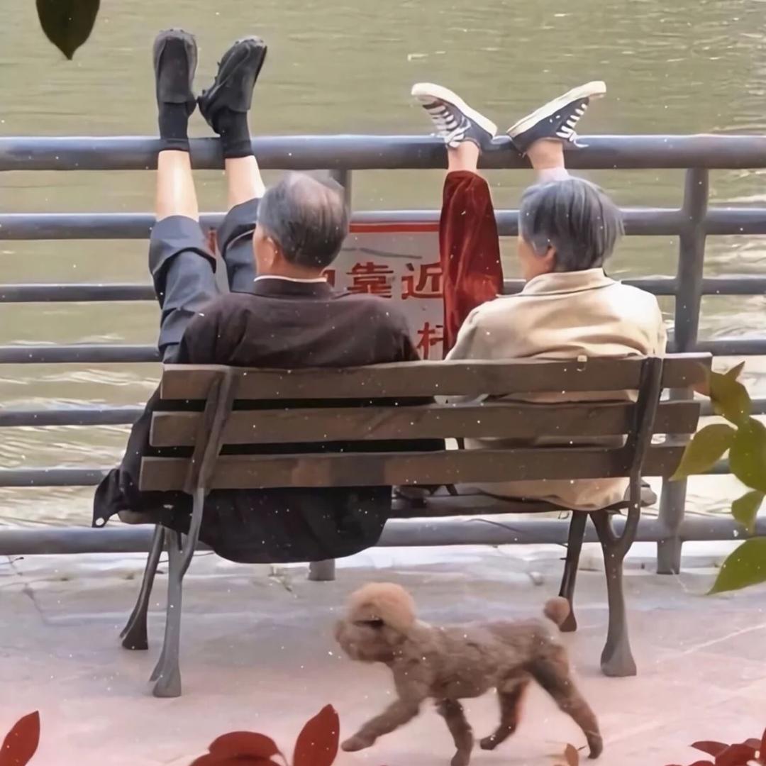 玫瑰🌹