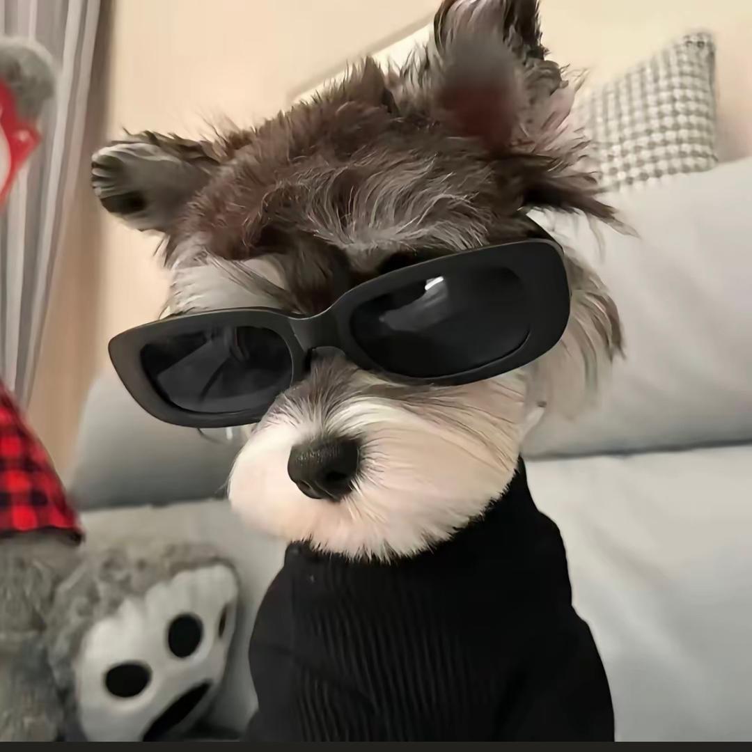 吃土豆长大的马铃薯🥔