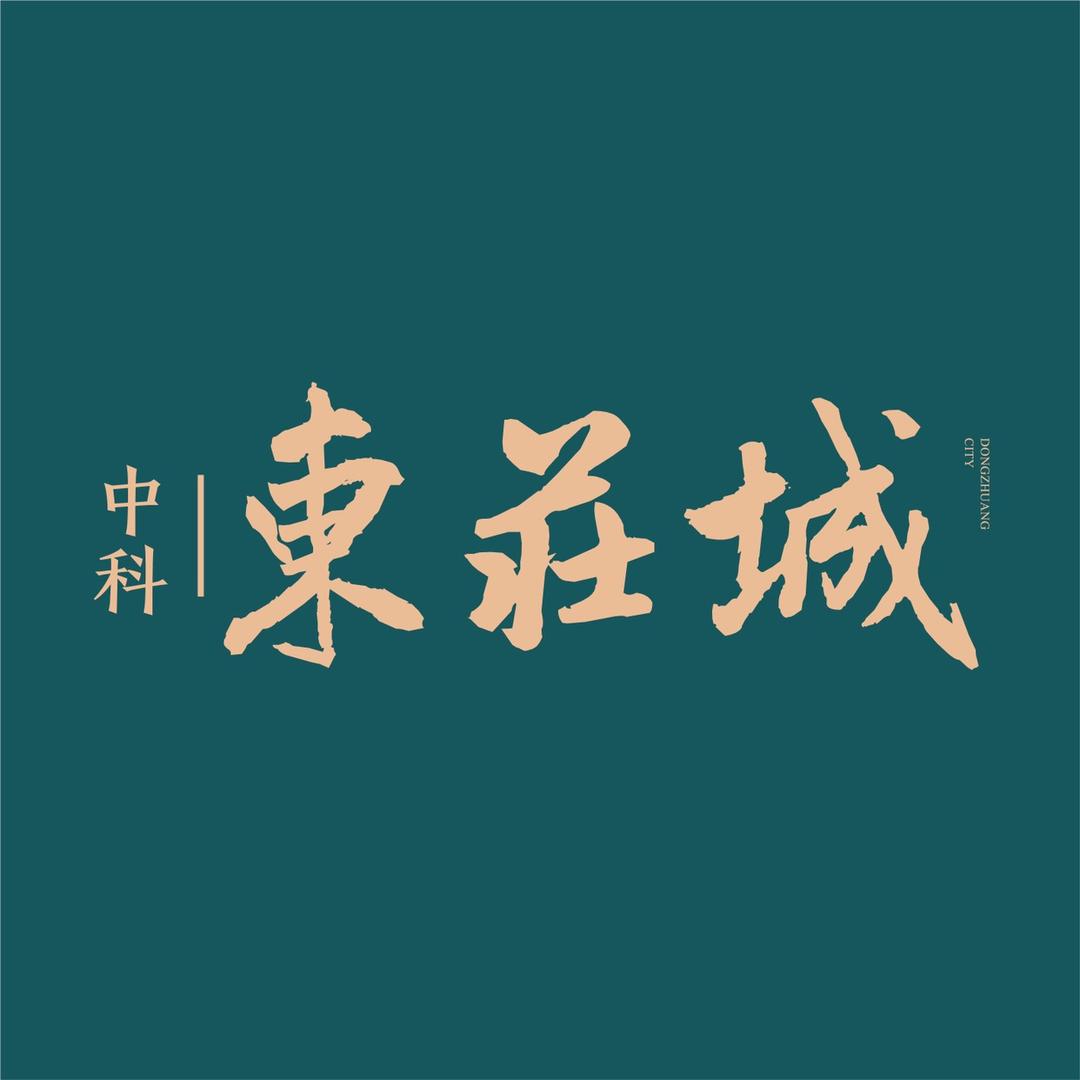 中科东庄城