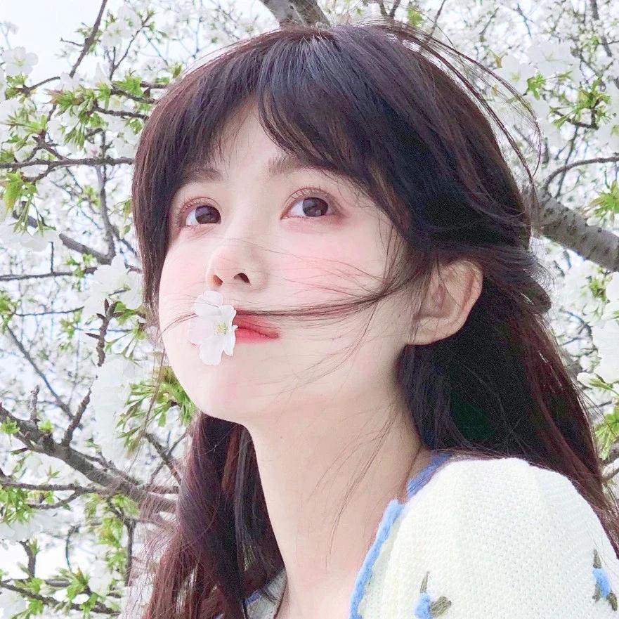 卜可梨鱼