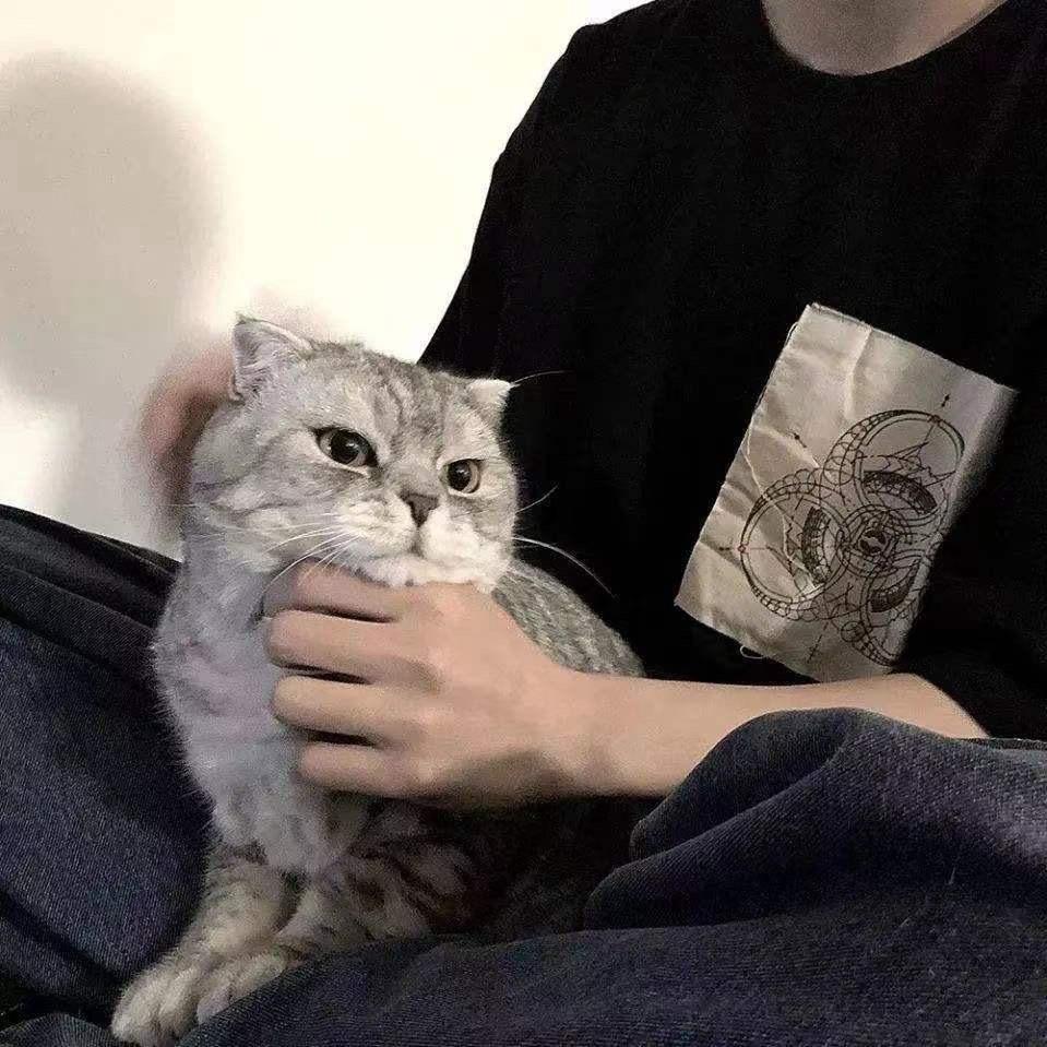 努力吧