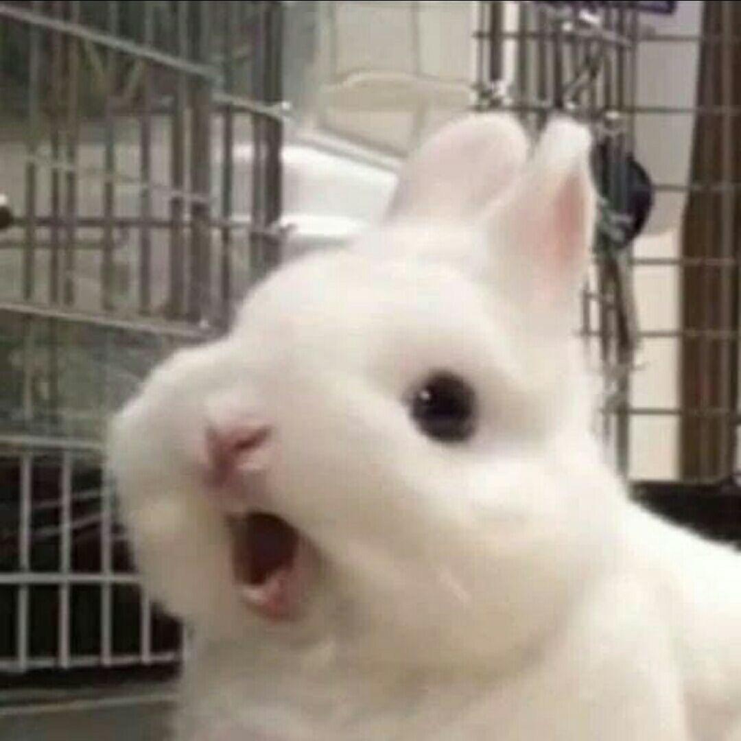 展眼舒眉
