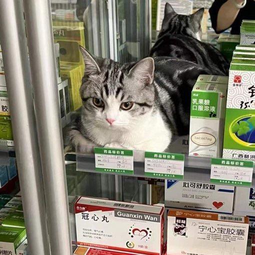 晓雪雪~