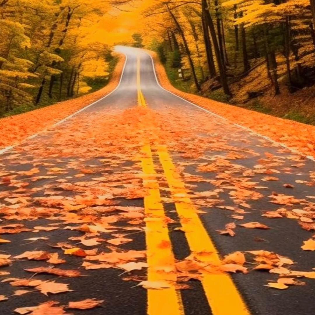 TMS高奢欧式家纺