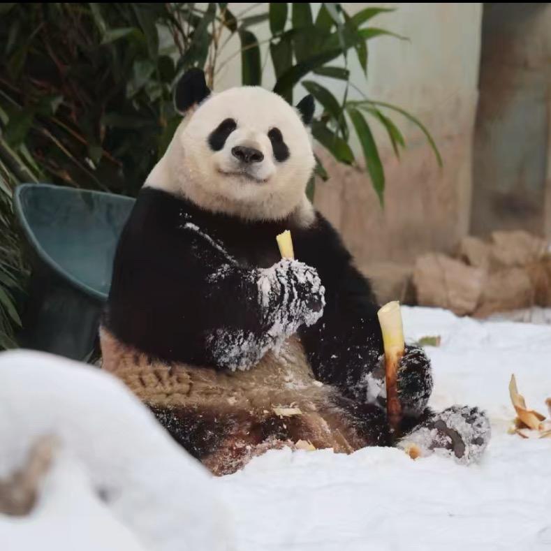 NINEPERCENT的老婆y. ✌️