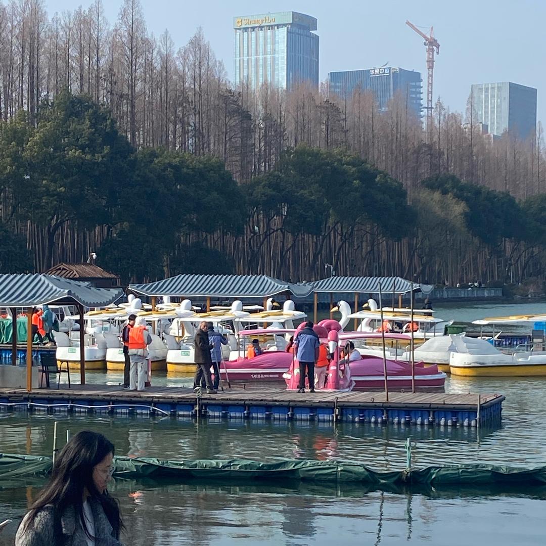 用户4539018084119谢