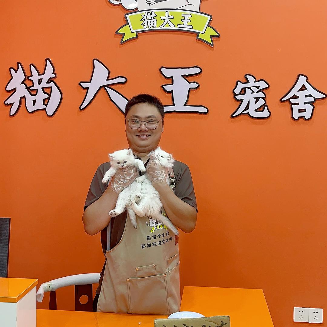 狗哥说猫