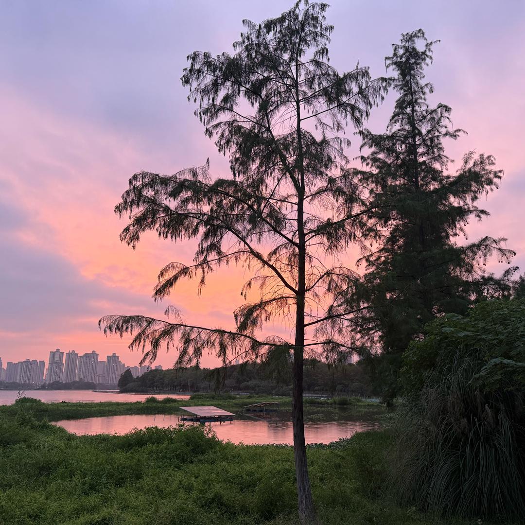 艾芙.