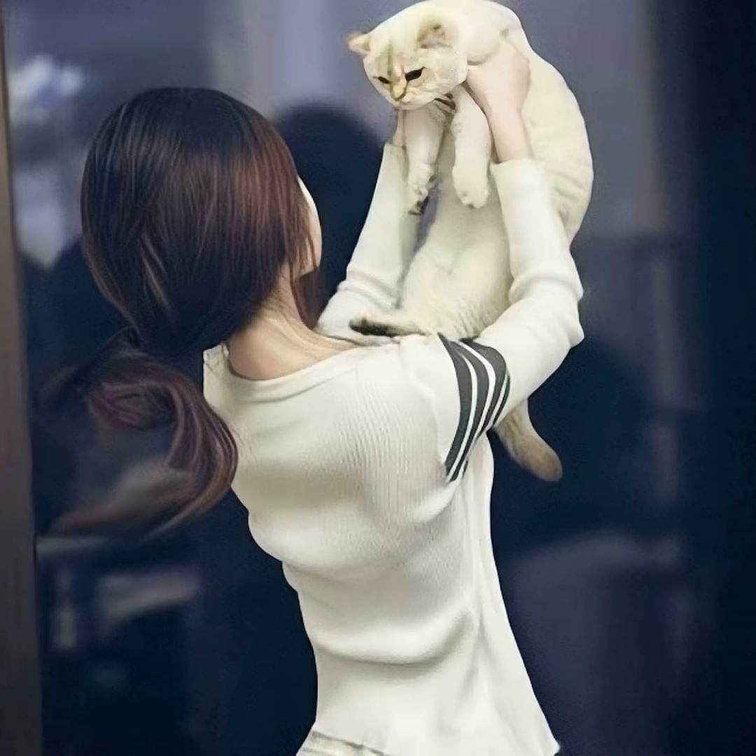 美驰.