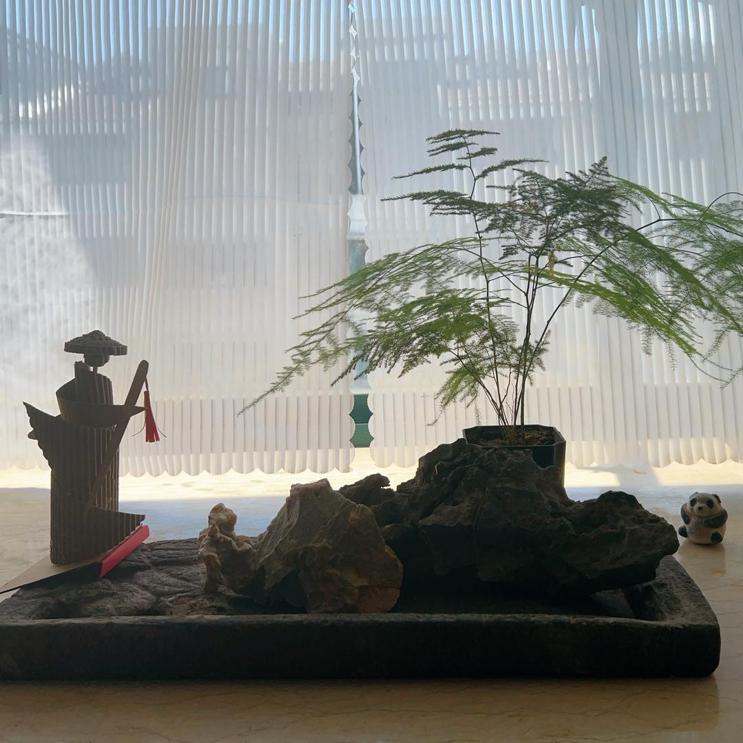 江南书苑(回关)