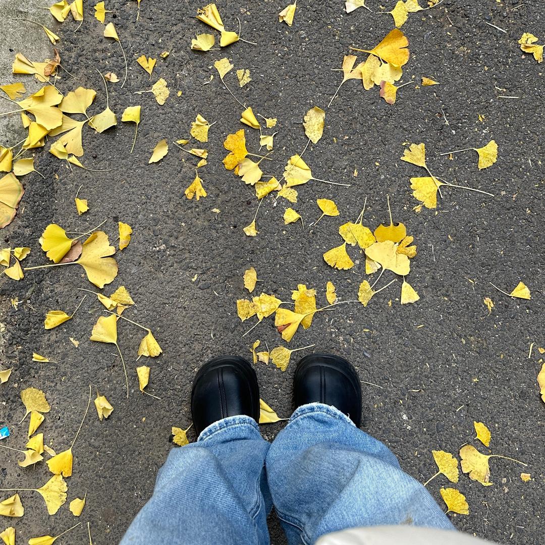 灯糕芳酒