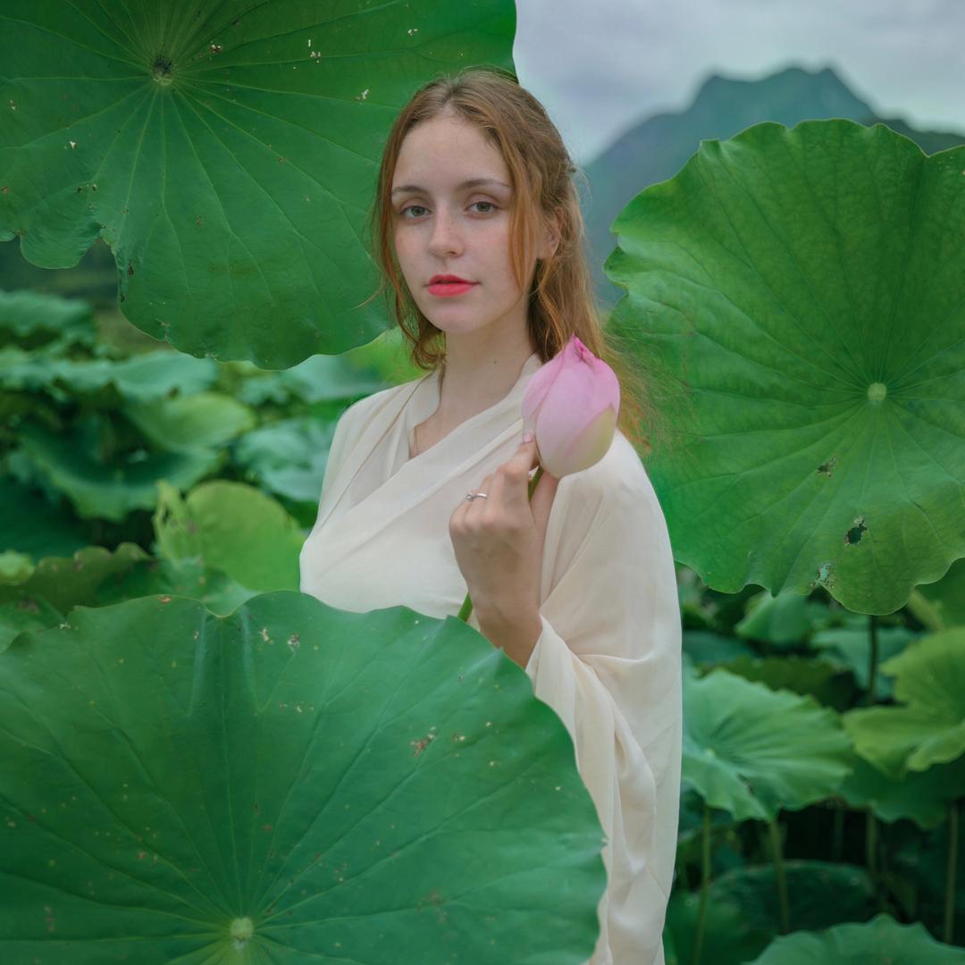 美纳斯