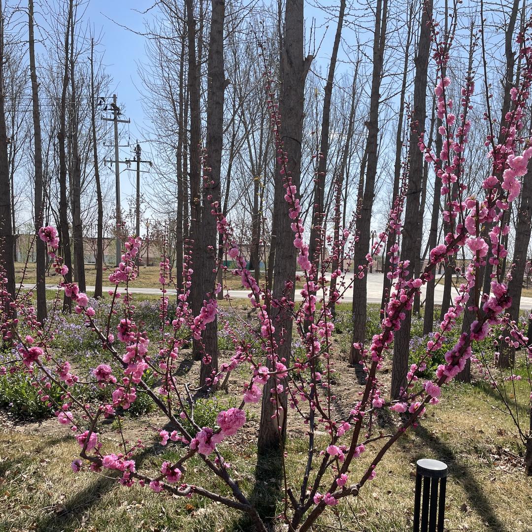 自助者，天助之