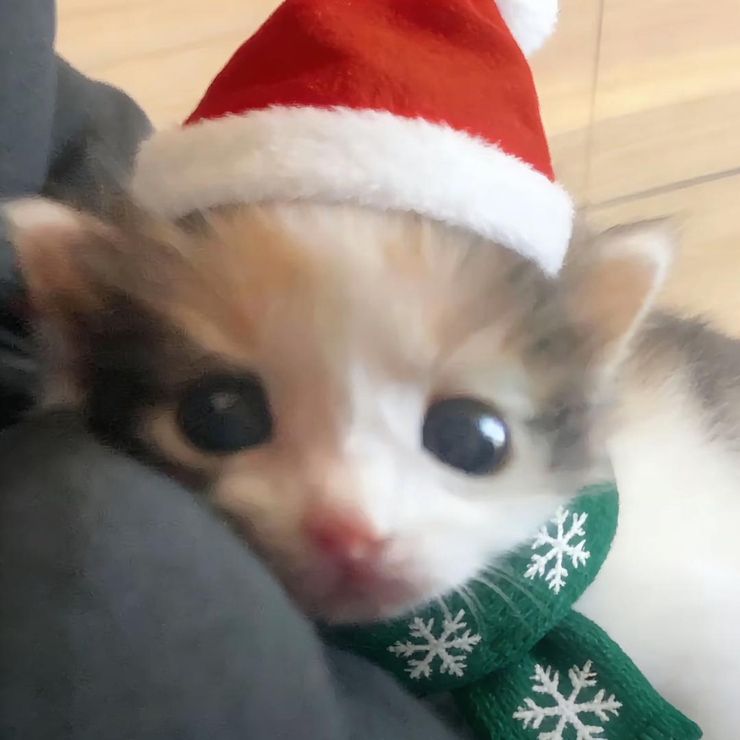 别跟我摆龙门阵