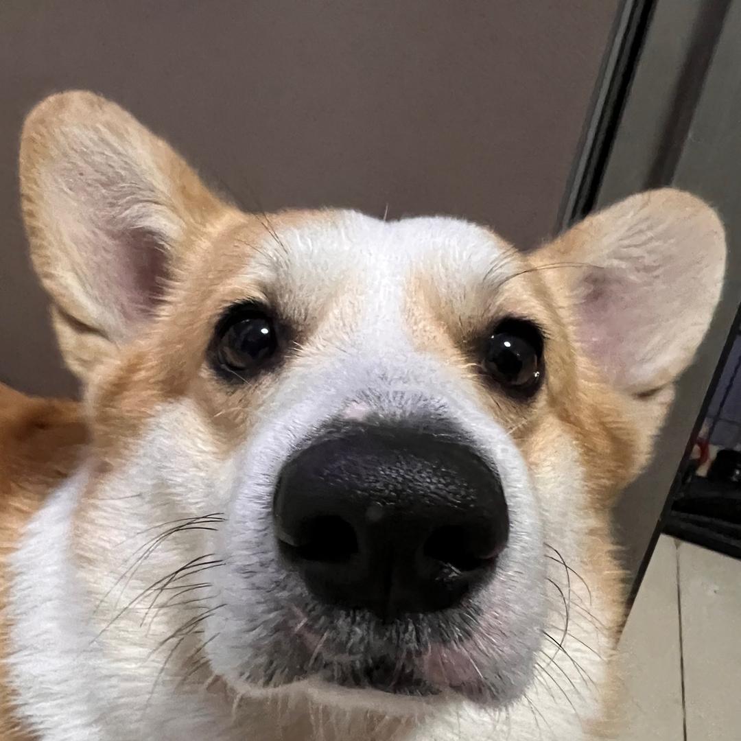 叁叁