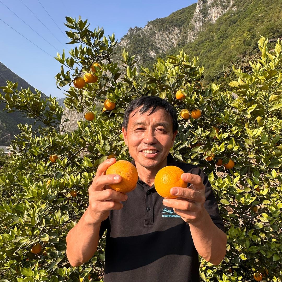 60后橙王老李