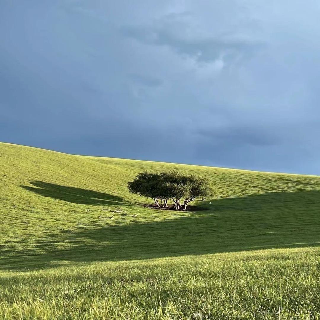 黑心出租车8公里收费150