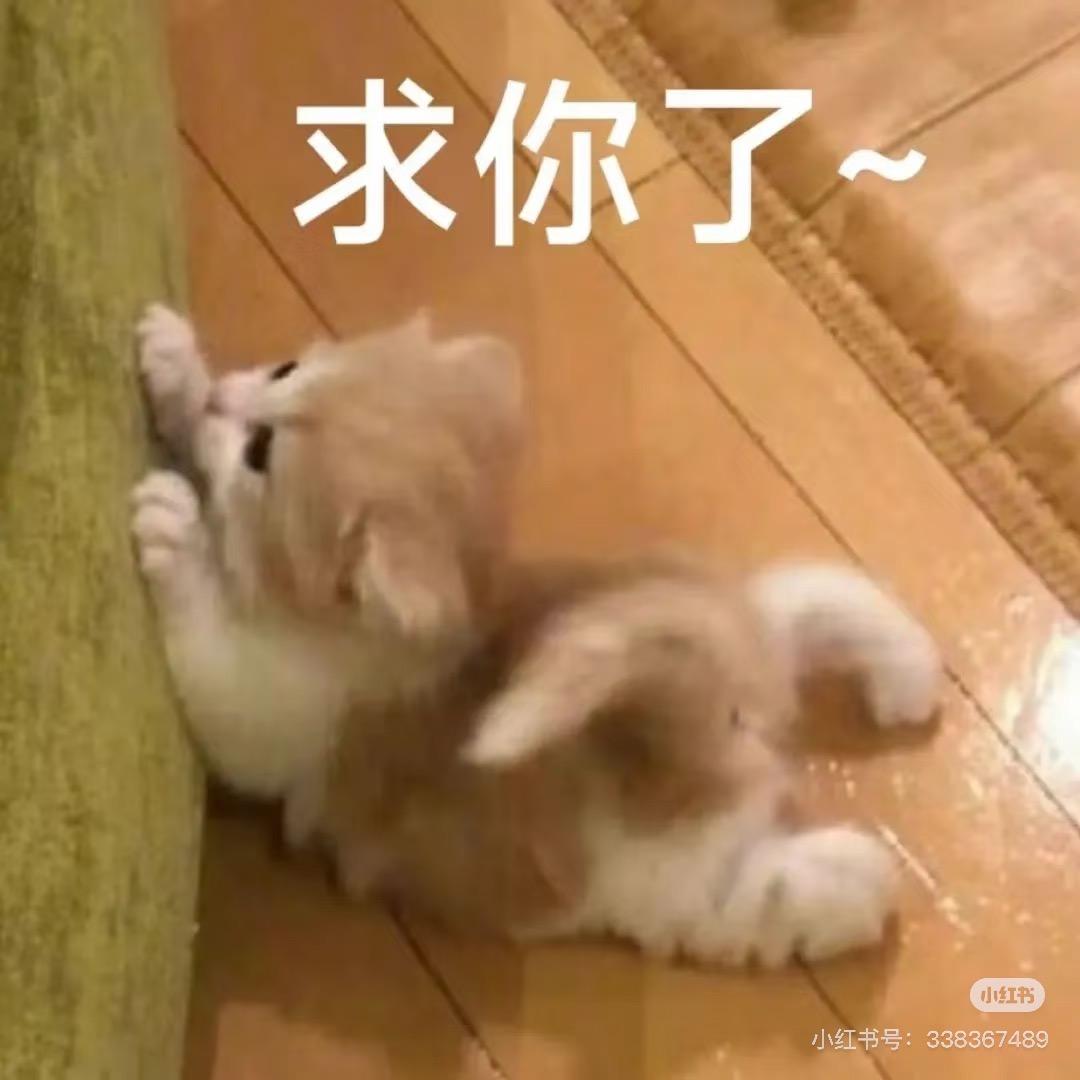 极品凡骨