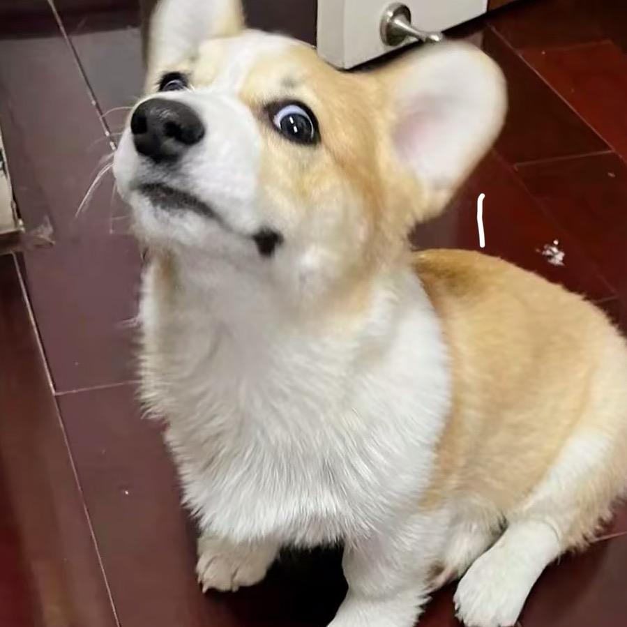 干甚膜