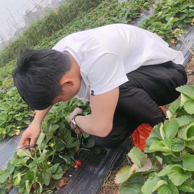 利隆纸品包装